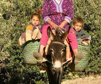 Small group tours to Morocco
